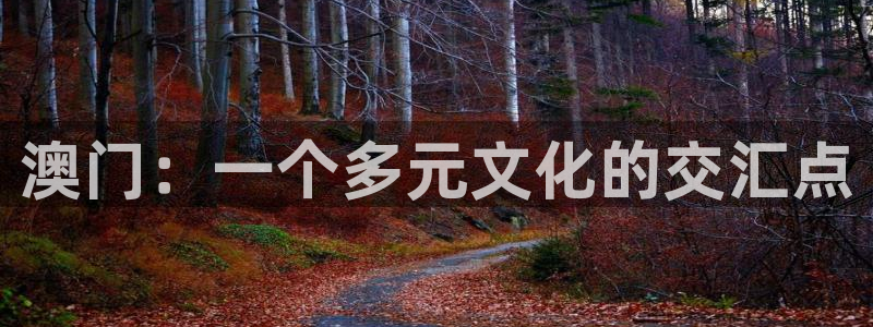 澳门：一个多元文化的交汇点