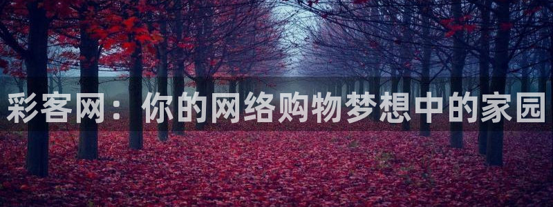 7790必发集团体育和杏耀是哪个公司的：彩客网：你的网络购物梦想中的家园