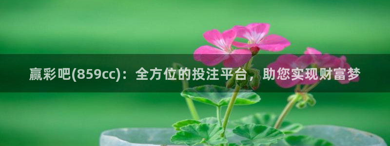 7790必发集团5招商：赢彩吧(859cc)：全方位的投注平台，助您实现财富梦