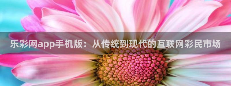 7790必发集团3官网登录：乐彩网app手机版：从传统到现代的互联网彩民市场