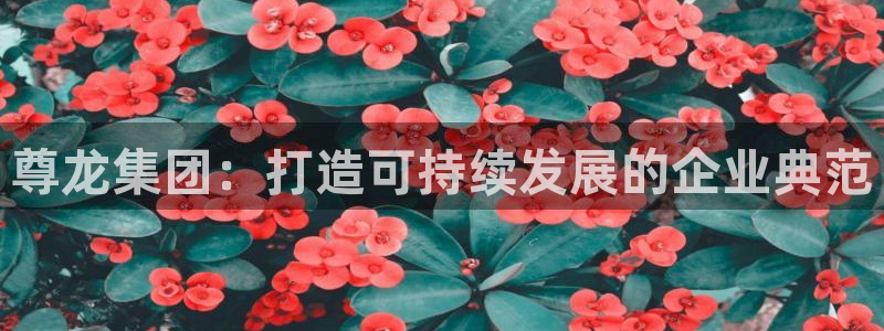 7790必发集团登录注册：尊龙集团：打造可持续发展的企业典范