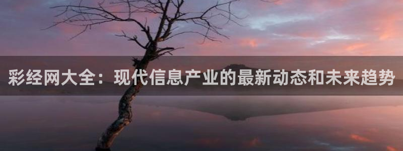 东莞市7790必发集团电子科技有限公司：彩经网大全：现代信息产业的最新动态和未来